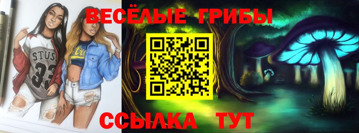 Галлюциногенные грибы мицелий  Вход с VPN  Кунгур 