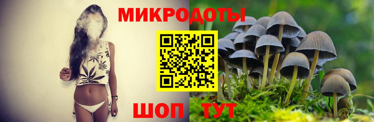 Галлюциногенные грибы прущие грибы Кунгур